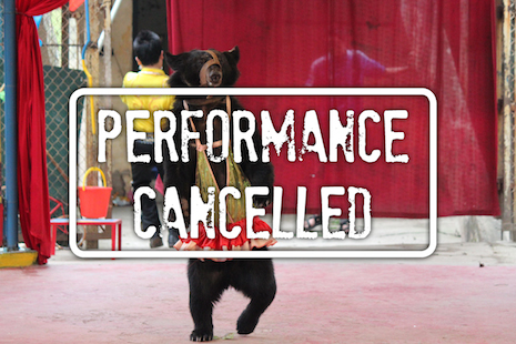 Hanoi Zoo closes its animal circus join Animals Asia in saying